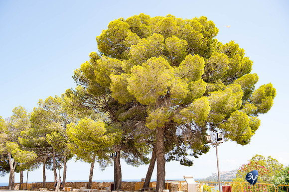 20170724-Espagne-Denia-_6D42386