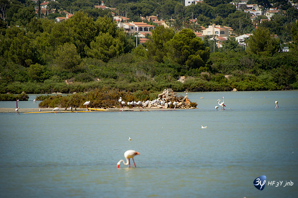 20170726-Espagne-Denia-_6D42630_9318