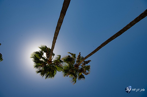 20170727-Espagne-Denia-_6D42748_9412