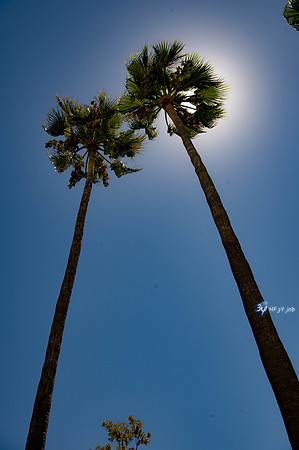 20170727-Espagne-Denia-_6D42751_9413