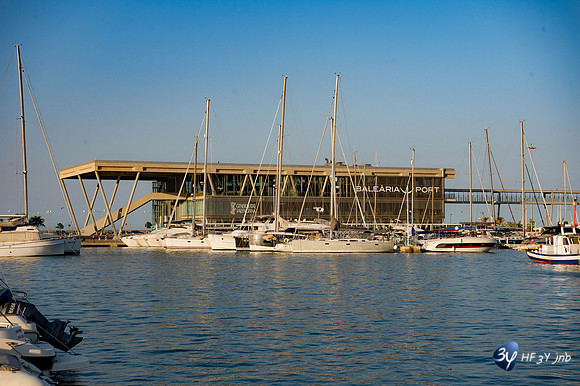 _6D42905_9554