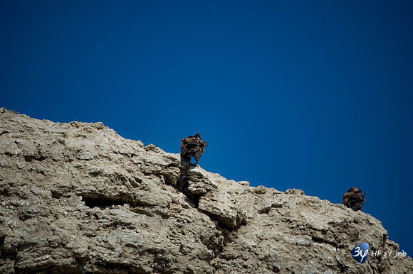 20170801-Espagne-Aragon-Basques-_6D42961_9597