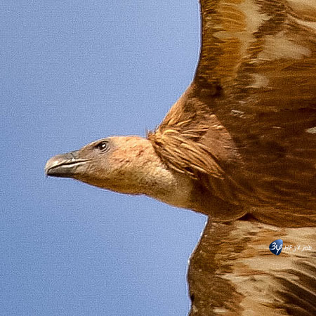 20170801-Espagne-Aragon-Basques-_6D43012_9630