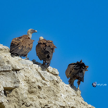 20170801-Espagne-Aragon-Basques-_6D43021_9639