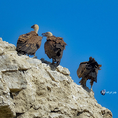 20170801-Espagne-Aragon-Basques-_6D43022_9640