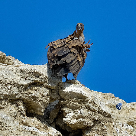 20170801-Espagne-Aragon-Basques-_6D43023_9641