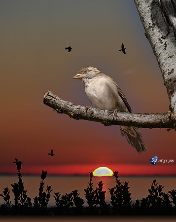 JNB_0886-Modifier-Modifier