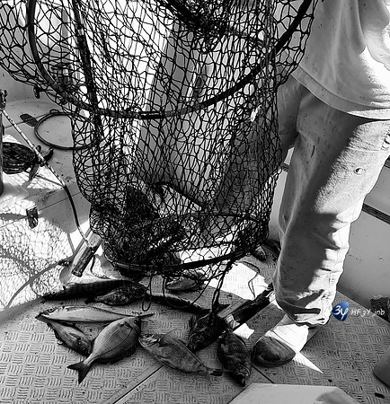 20210527-Peche-Dorade-bateau-Enaoc-nord-ile-ré -20210527_170908_05