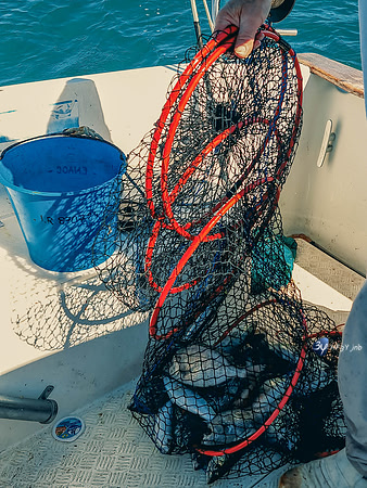 20210527-Peche-Dorade-bateau-Enaoc-nord-ile-ré -20210527_170908_12
