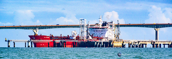 20210527-Peche-Dorade-bateau-Enaoc-nord-ile-ré -Z07_4207