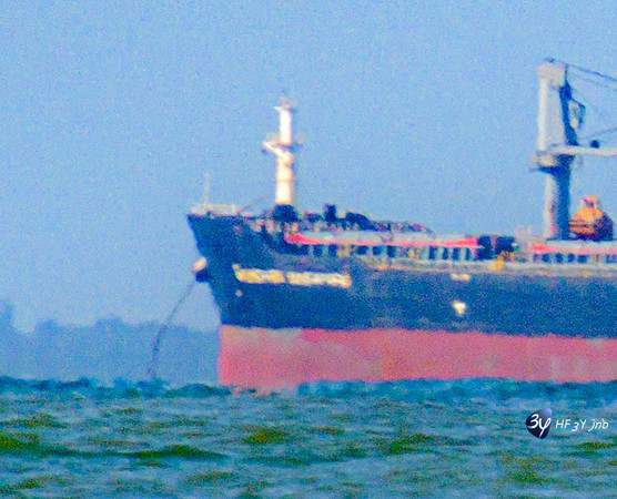 20210527-Peche-Dorade-bateau-Enaoc-nord-ile-ré -Z07_4225