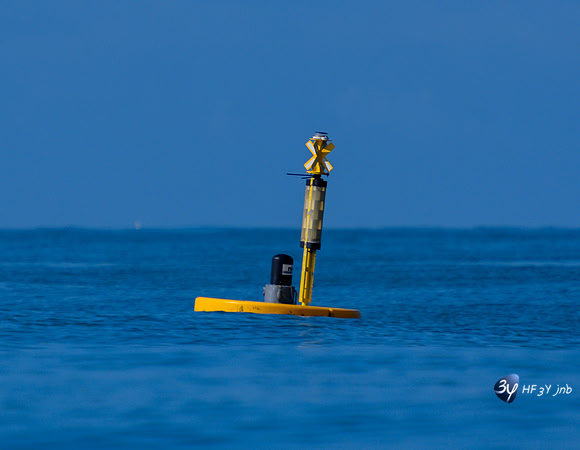 20210527-Peche-Dorade-bateau-Enaoc-nord-ile-ré -Z07_4234