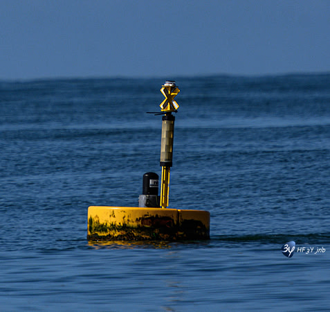 20210527-Peche-Dorade-bateau-Enaoc-nord-ile-ré -Z07_4235