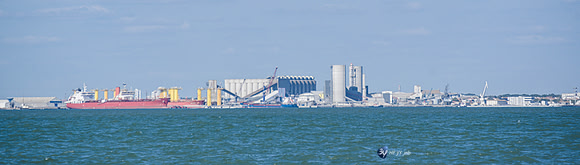 20210527-Peche-Dorade-bateau-Enaoc-nord-ile-ré -Z07_4275