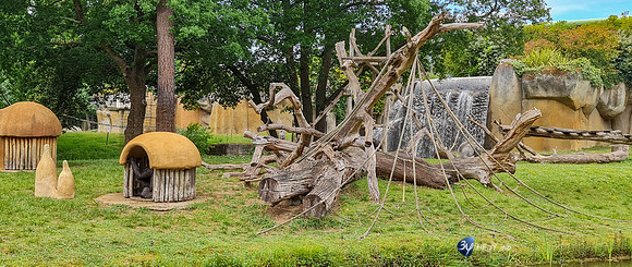 20210529-Palmyre-zoo-note20-20210529_144233