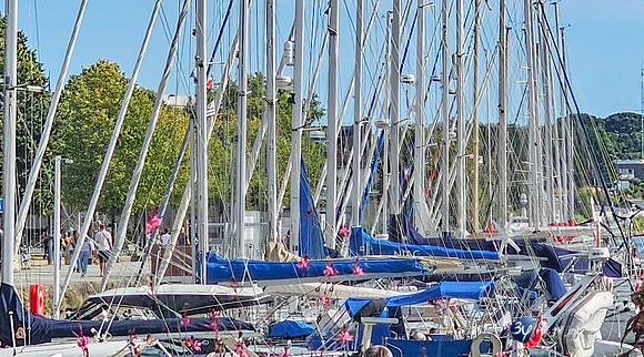 20250812-Bretagne-20250808_181107-3