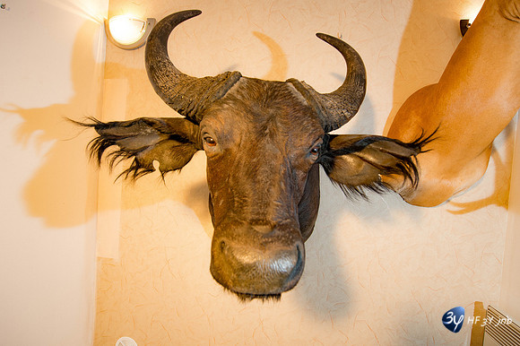 42986-afrique-chasse-modexpo-_7D43454