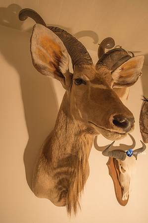 42986-afrique-chasse-modexpo-_7D43447