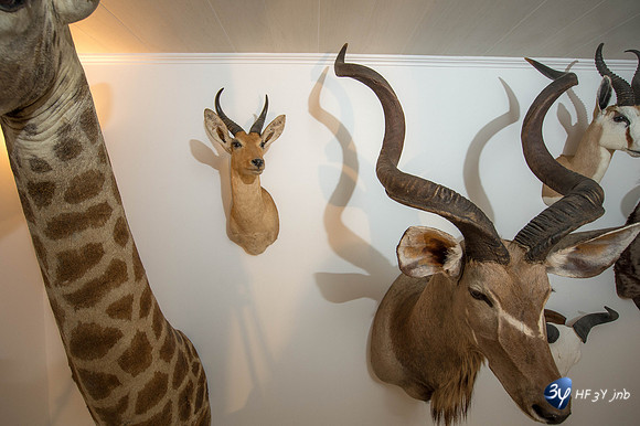42986-afrique-chasse-modexpo-_7D43439
