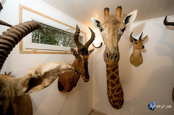 42986-afrique-chasse-modexpo-_7D43437