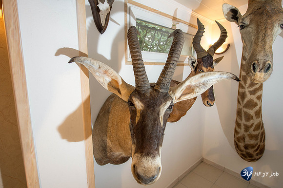 42986-afrique-chasse-modexpo-_7D43431