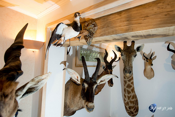 42986-afrique-chasse-modexpo-_7D43428