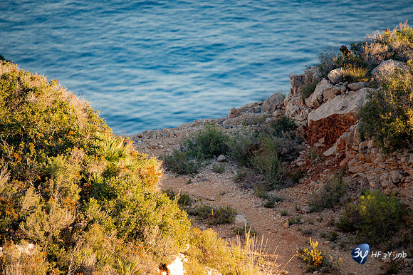 20171110-Dénia-Espagne-_7D46021