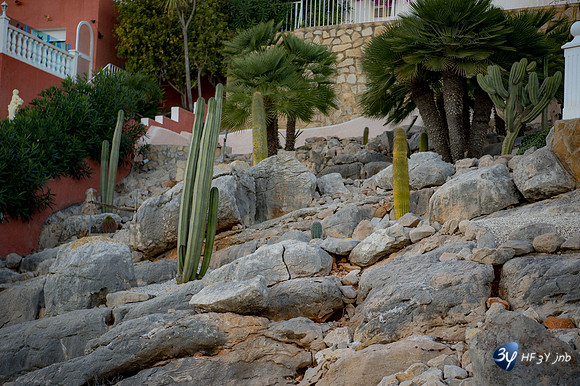 20171110-Dénia-Espagne-_7D46048