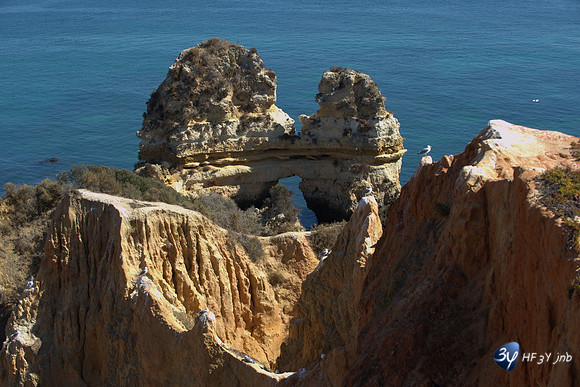 20151024_lagos_portugal__HF33830-pix25