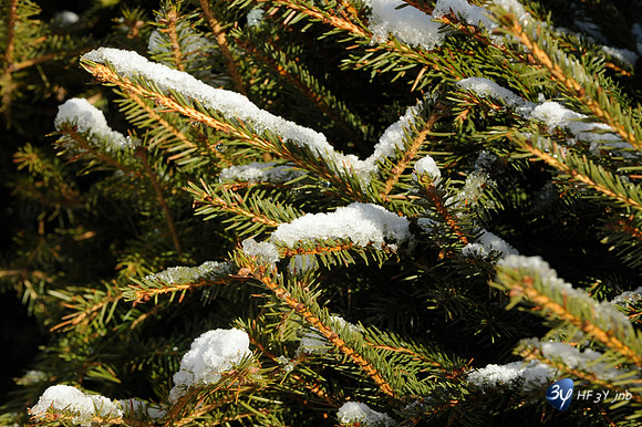 20111225-megeve-ski-neige-DSC_4287_9052