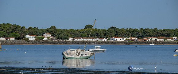JNB_3051