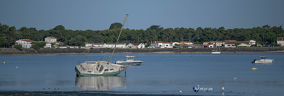 JNB_3053