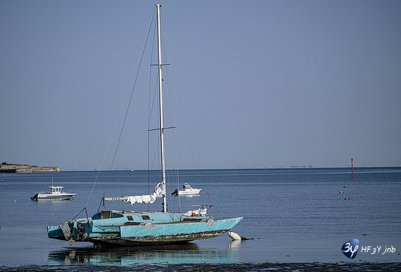 JNB_3058