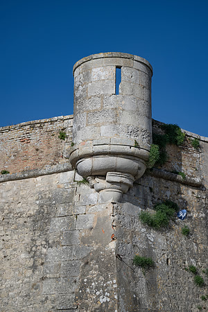 JNB_3068