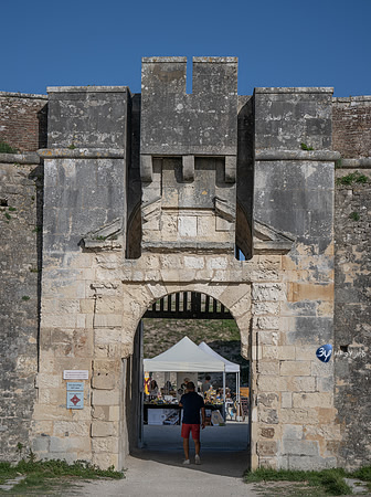 JNB_3069