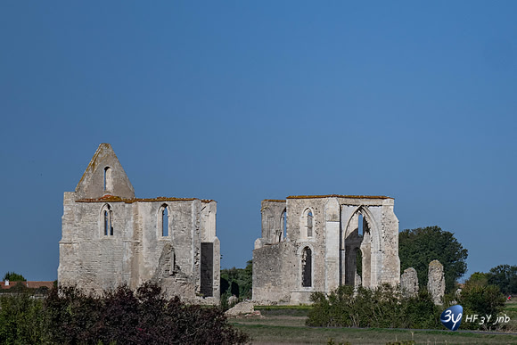 JNB_3088