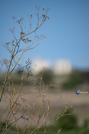 JNB_3091