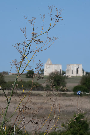 JNB_3090