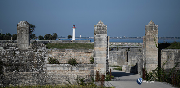 JNB_3233