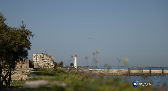 JNB_3248