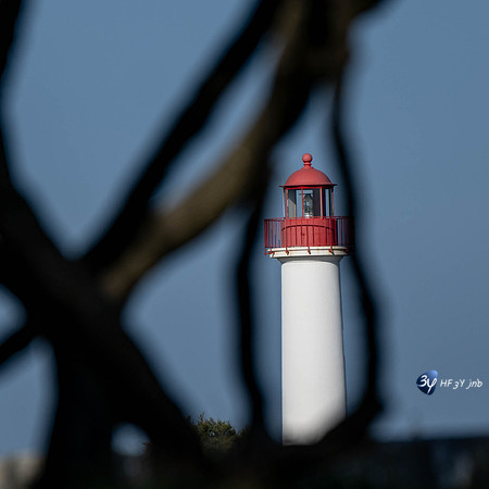 JNB_3249