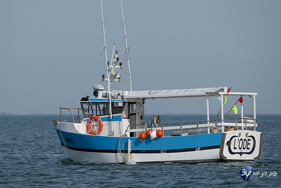 JNB_3362