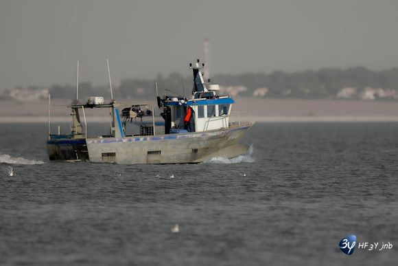 JNB_3713