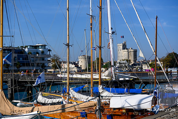 Z7N_0090