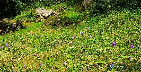20210920-Loudenvielle-Lac d'Oô-L1170801