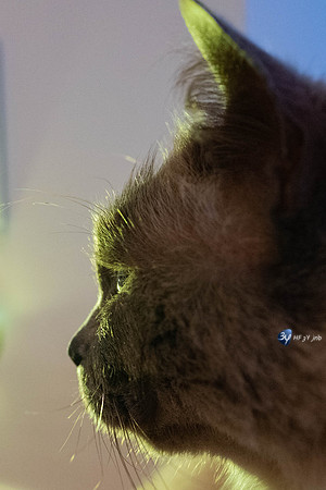 20190106-CAID-L1000721