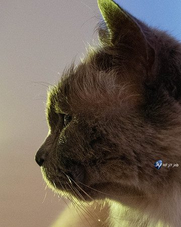 20190106-CAID-L1000720