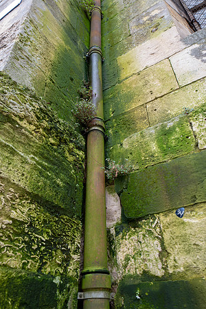 L1010264