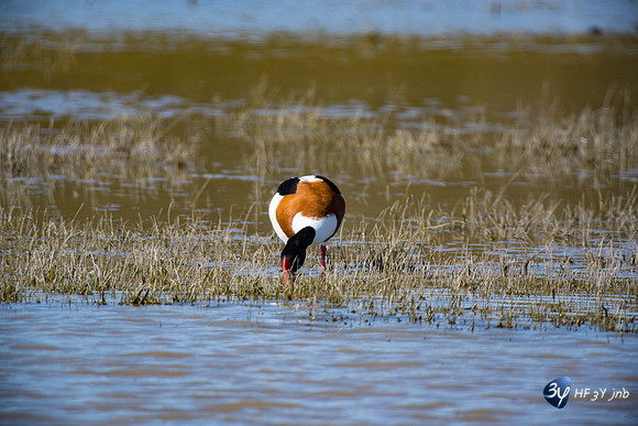Breuil Magné Parc Nature 2019