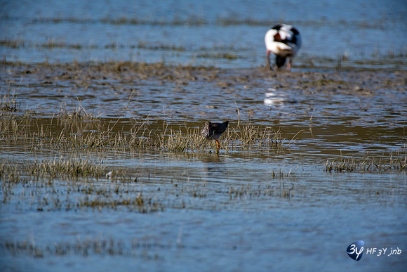 Breuil Magné Parc Nature 2019